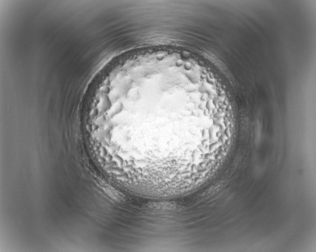 X0000056021023200509092133