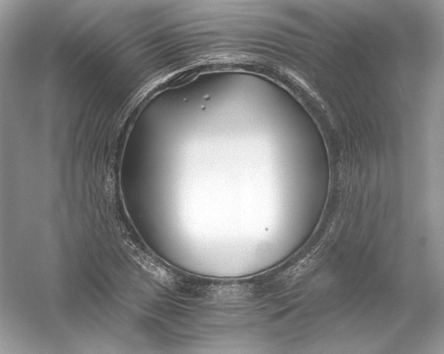 X0000056021025200509092133