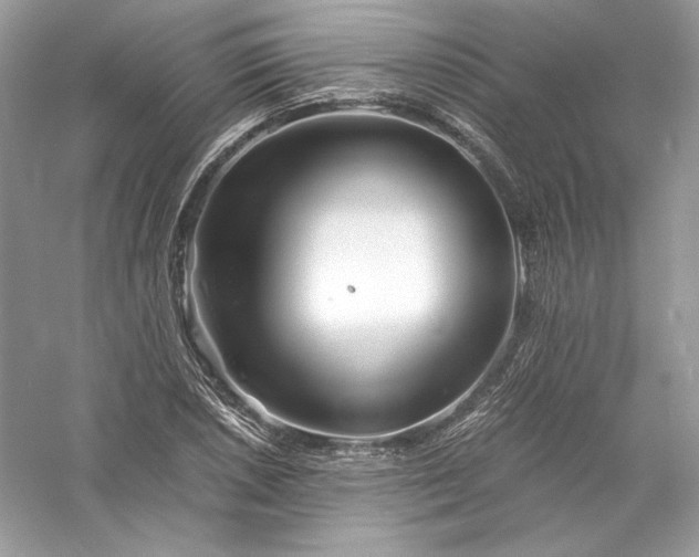 X0000056021026200509092133