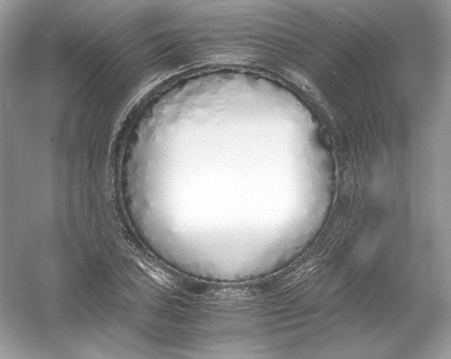 X0000056021027200509092133