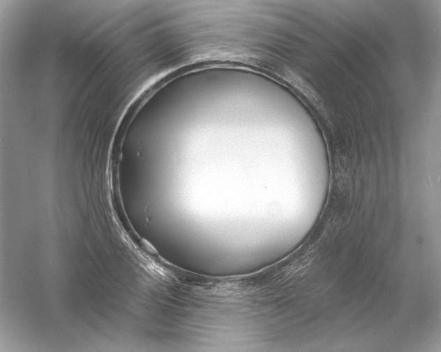 X0000056021028200509092133