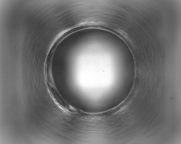 X0000056021030200509092133