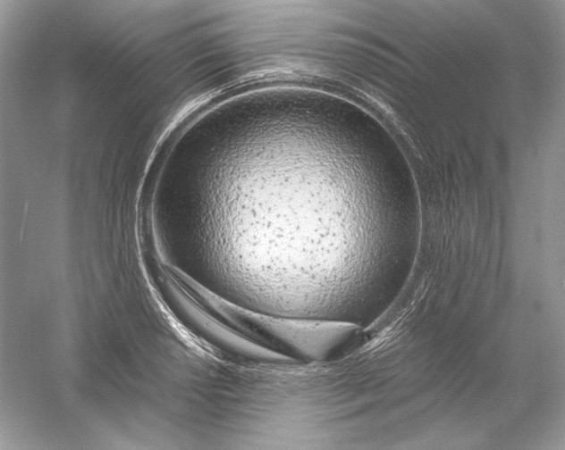 X0000056021034200509092133