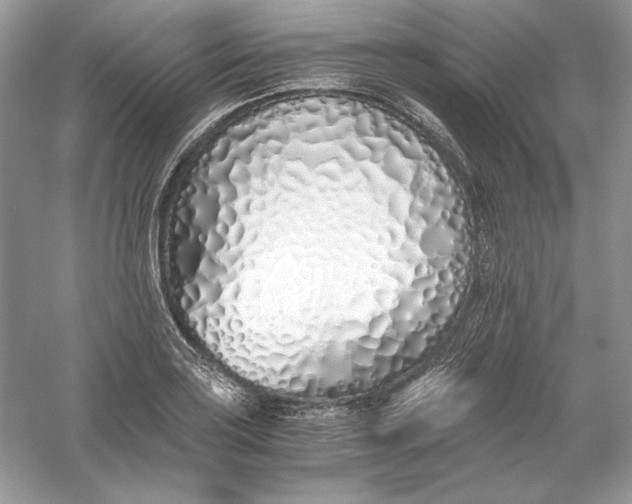 X0000056021035200509092133