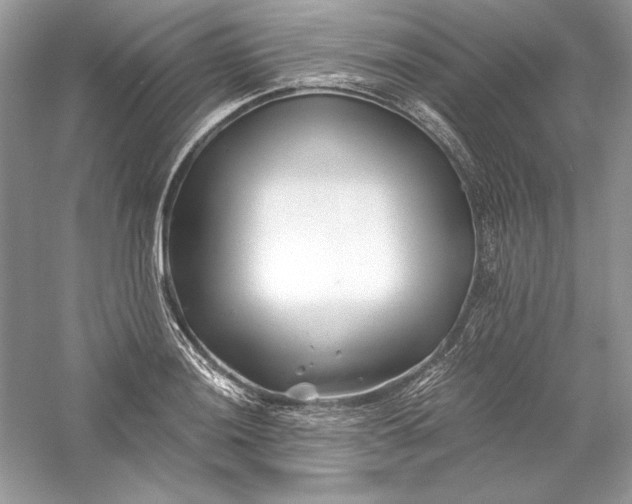 X0000056021036200509092134