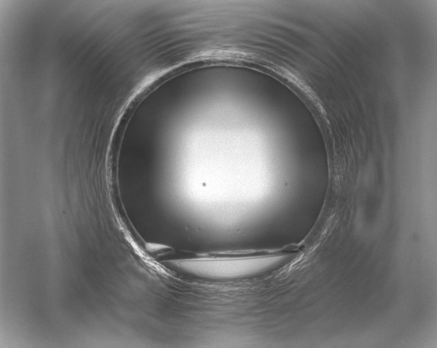 X0000056021037200509092134