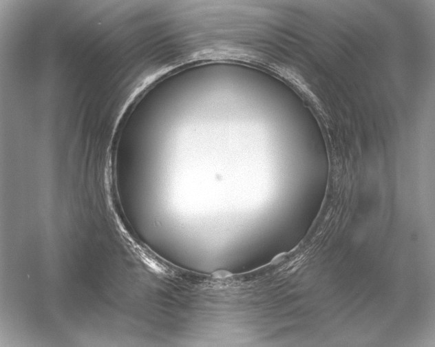X0000056021040200509092134