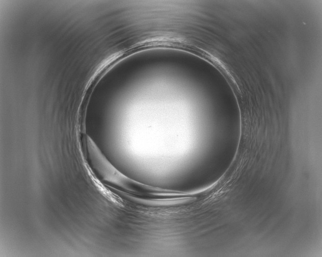 X0000056021042200509092134