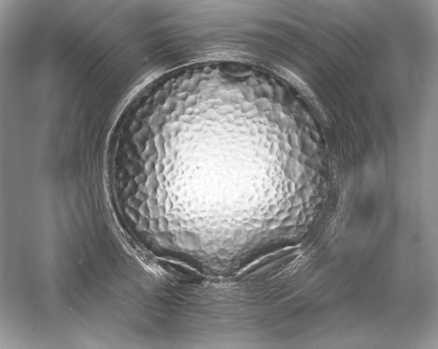 X0000056021043200509092134