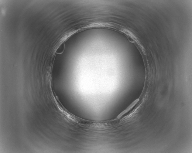 X0000056021049200509092134