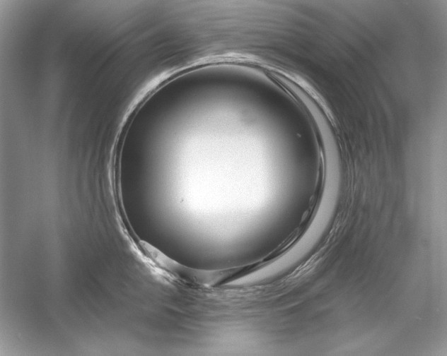 X0000056021054200509092134