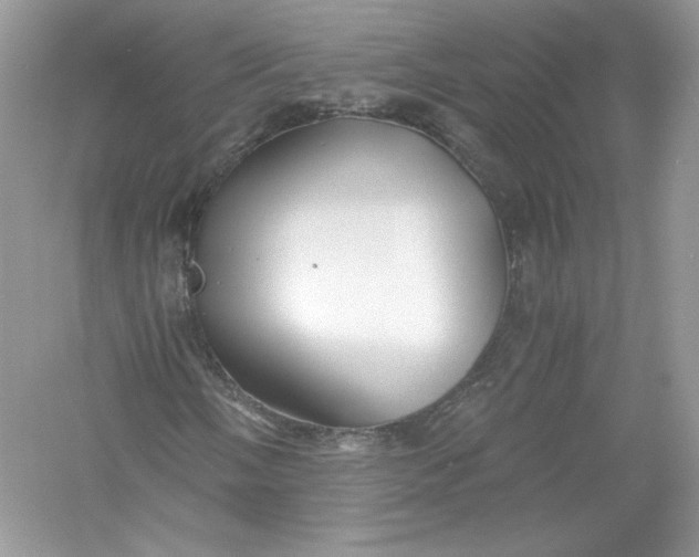 X0000056021058200509092133