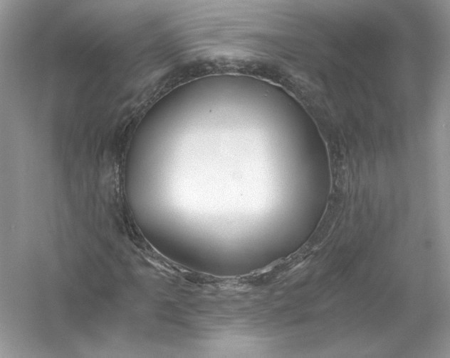 X0000056021061200509092133