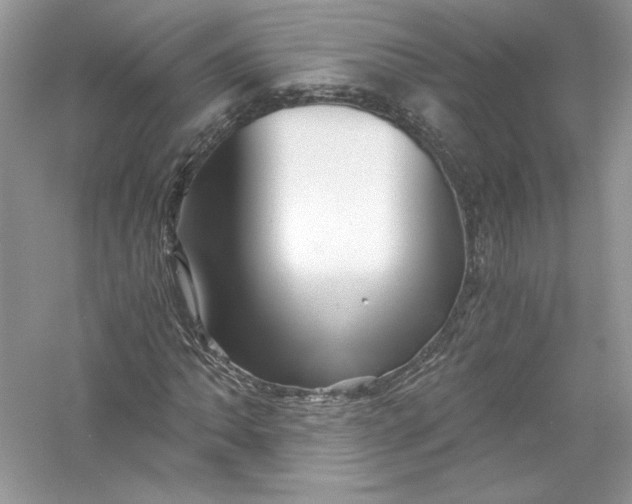 X0000056021062200509092133