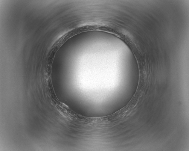 X0000056021064200509092133