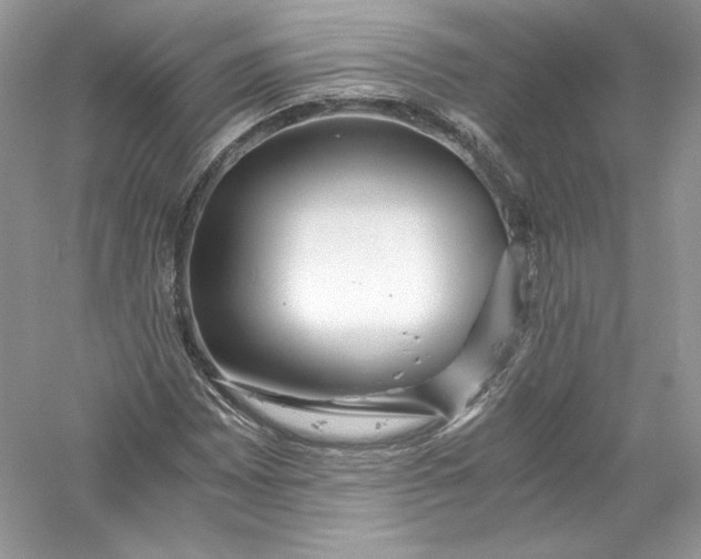 X0000056021065200509092133