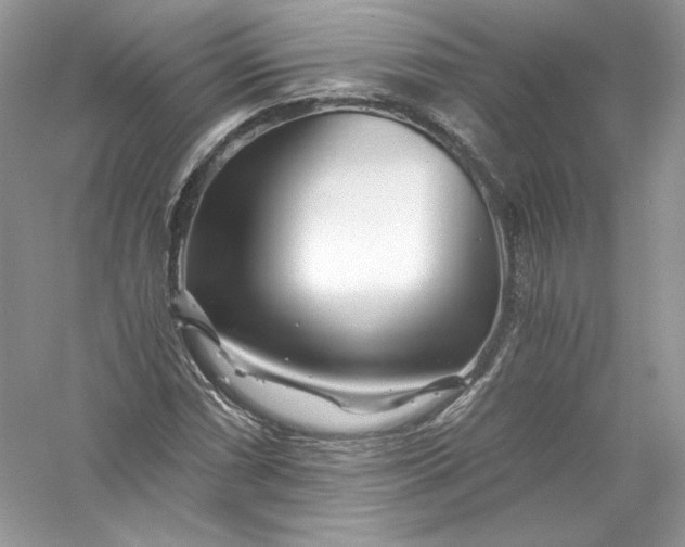 X0000056021066200509092133