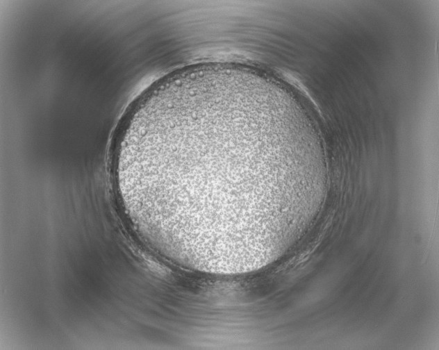 X0000056021071200509092133