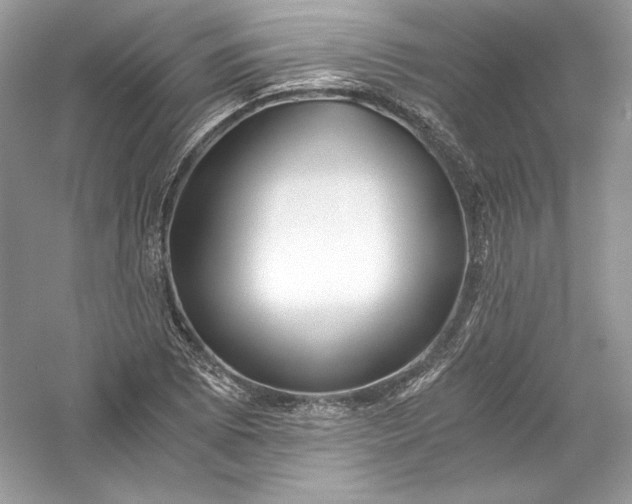 X0000056021073200509092133
