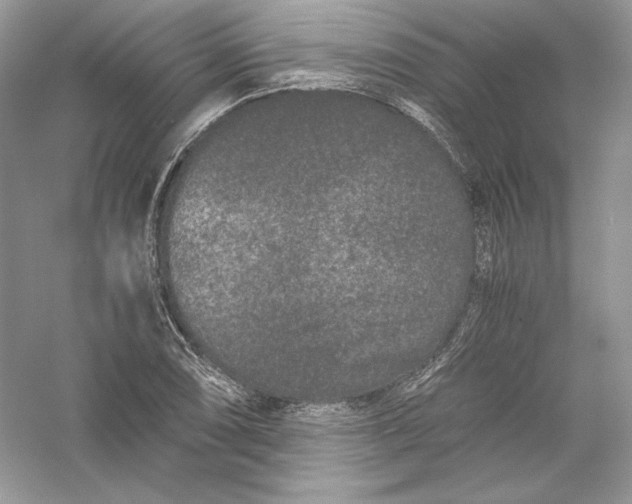X0000056021074200509092133