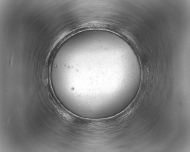 X0000056021075200509092133