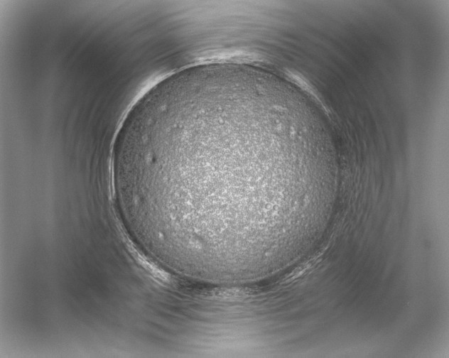 X0000056021079200509092133