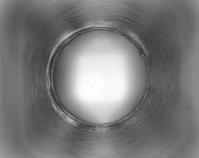 X0000056021080200509092133