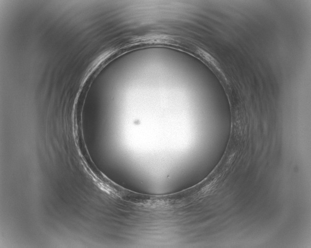 X0000056021082200509092133