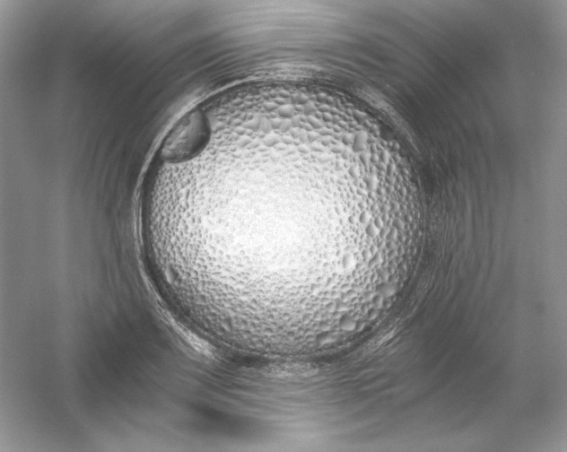 X0000056021083200509092133