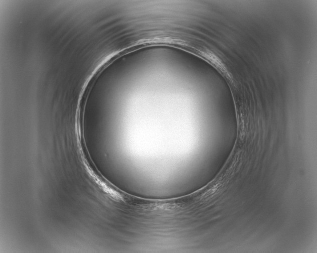 X0000056021084200509092133