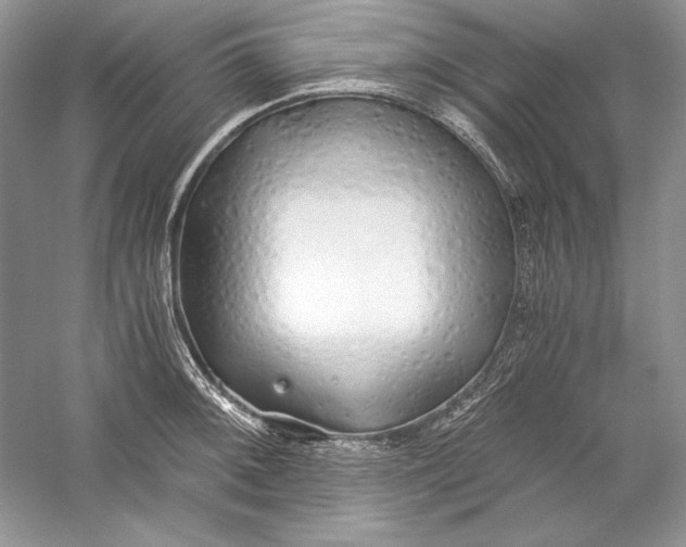 X0000056021092200509092132