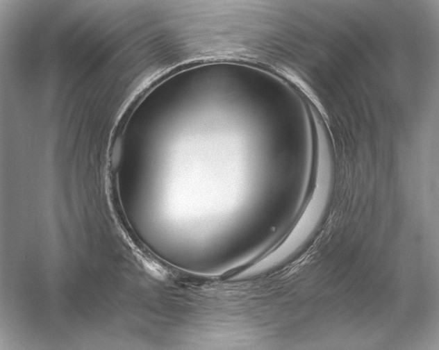 X0000056021093200509092132