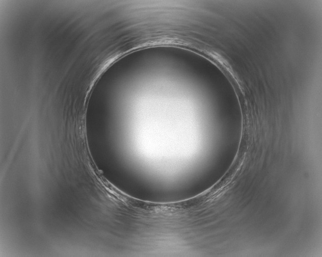 X0000056021097200509092132