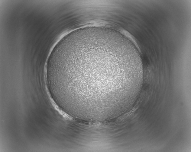 X0000056021099200509092132