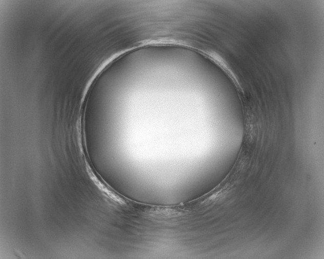 X0000056021100200509092132