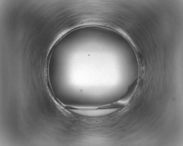 X0000056021101200509092132