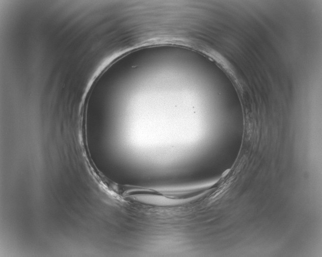 X0000056021102200509092132