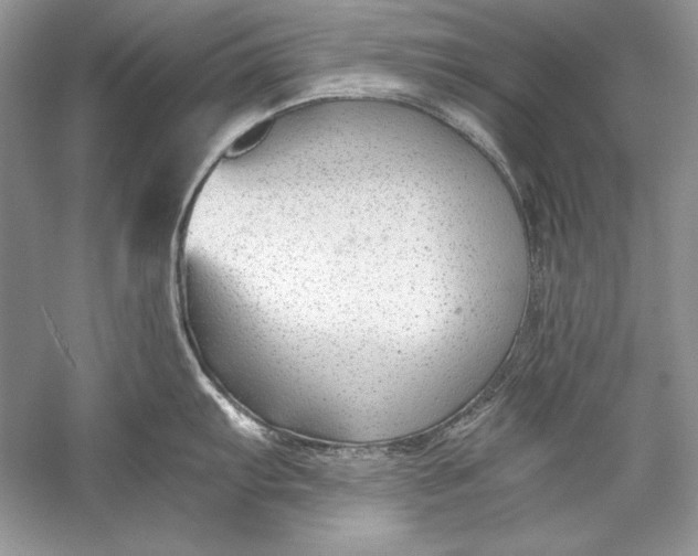 X0000056021103200509092132