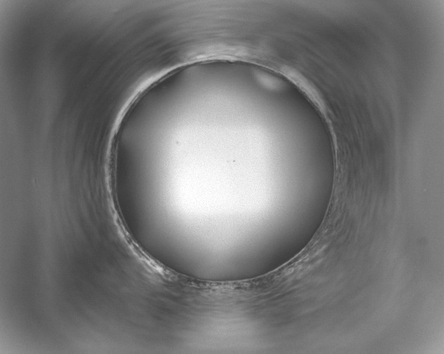 X0000056021104200509092132
