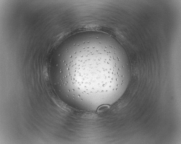X0000056021106200509092131