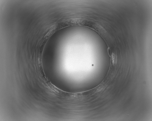 X0000056021107200509092131
