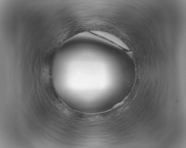 X0000056021108200509092131