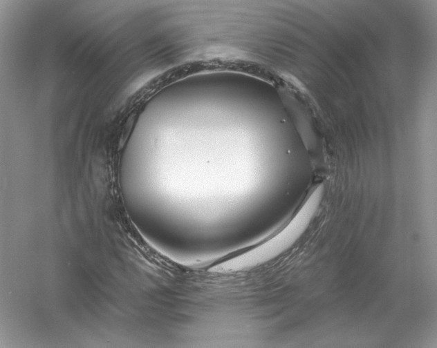 X0000056021112200509092132