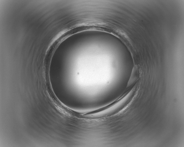 X0000056021114200509092132