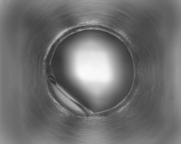 X0000056021118200509092132