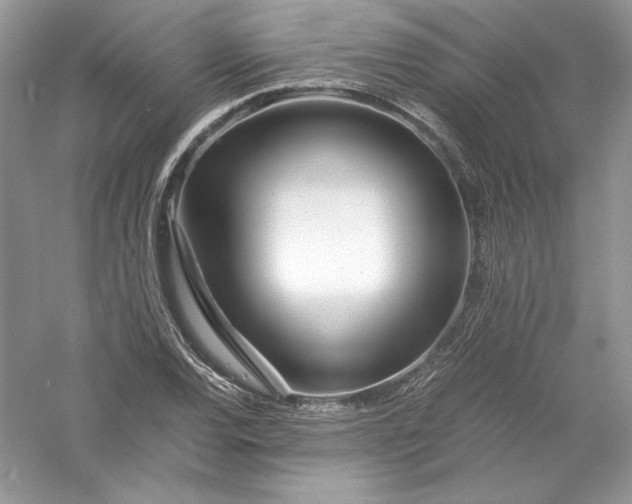 X0000056021120200509092132