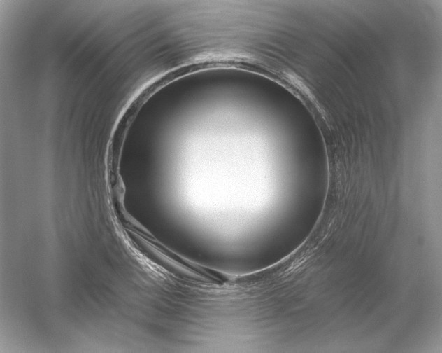 X0000056021124200509092132