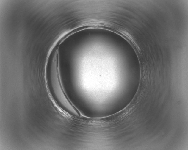 X0000056021128200509092132