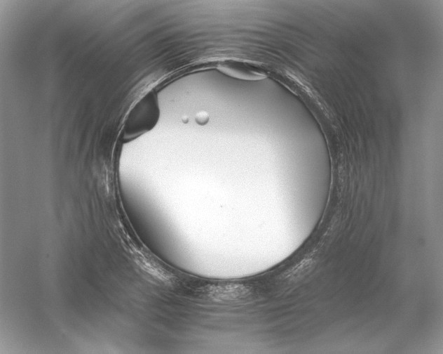 X0000056021129200509092132