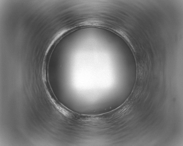 X0000056021131200509092132